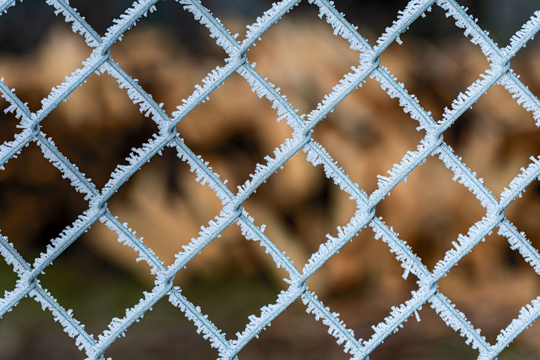 Close-up of a frost-covered chain link fence during winter, showcasing intricate ice patterns.