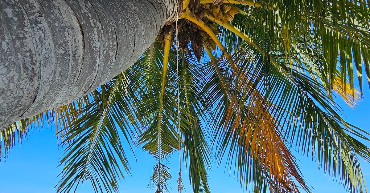 Impacto de huracanes y pandemias en la economía turística de las Bahamas y soluciones Impacto de huracanes y pandemias en la economía turística de las Bahamas y soluciones