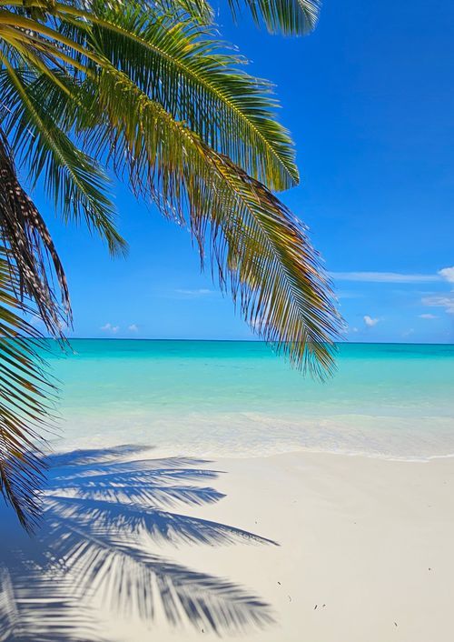 Free Peaceful tropical beach scene with turquoise waters and palm shadows on a sunny summer day. Stock Photo