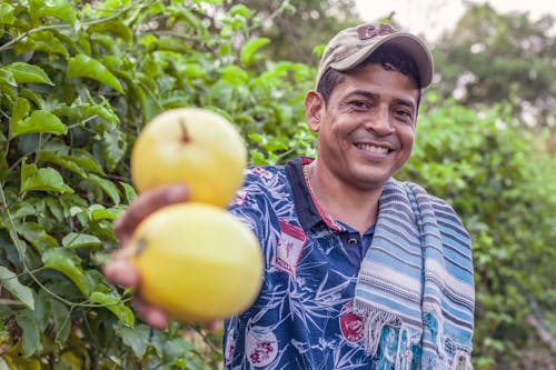 Man In Polo Shirt Holding Yellow Fruit