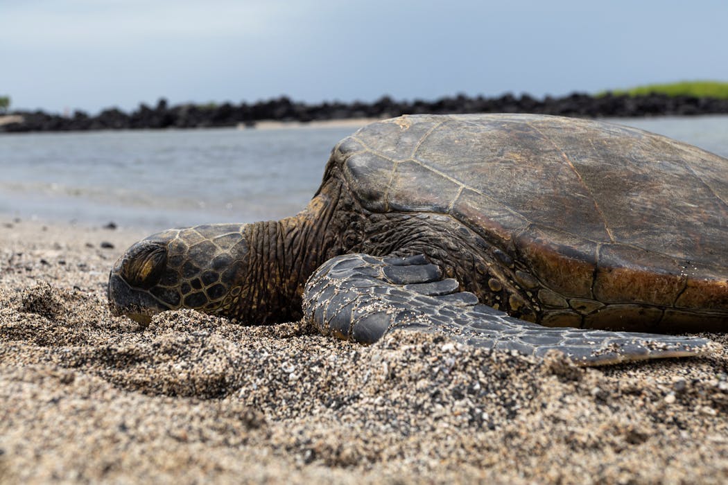 10 Essential Tips for Injury Prevention: A Comprehensive Guide for Fitness Beginners cover image