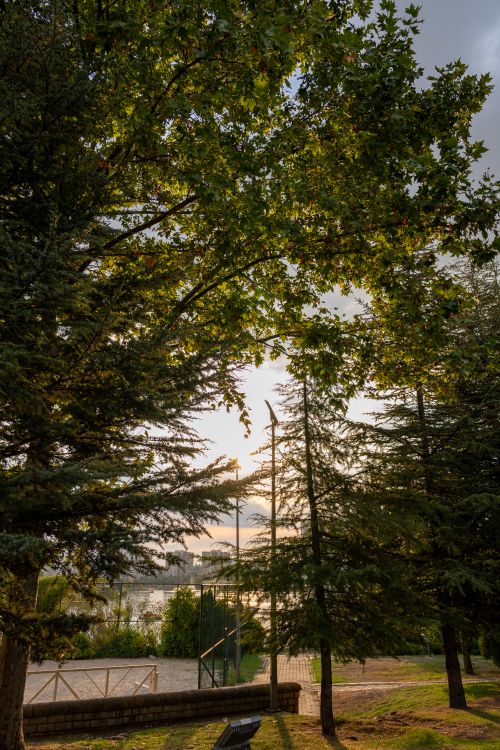 Free Serene park view in Ankara at sunset with lush green trees framing a peaceful scene. Stock Photo