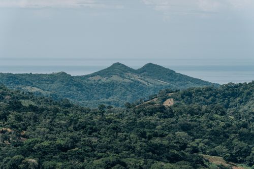 Free Breathtaking view of lush green mountains with the ocean in the background under a clear sky. Stock Photo