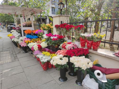 Free A vibrant outdoor flower market with diverse blooms, offering a beautiful sight. Stock Photo