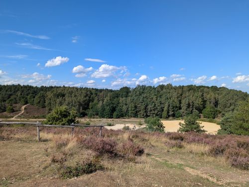 Free Experience the serene beauty of Maasmechelen's lush forestry and open skies. Stock Photo