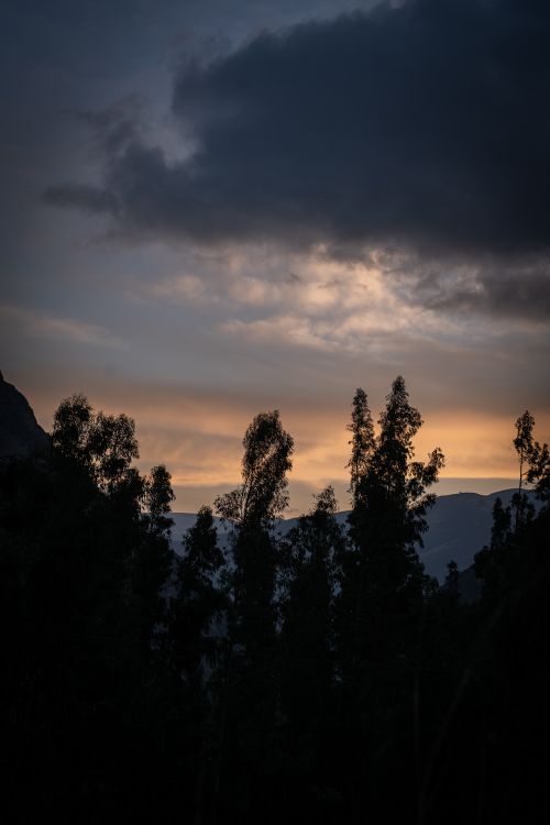 Free Silhouetted trees against a stunning sunset sky over mountainous terrain. Stock Photo