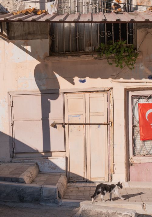 Free Quaint İzmir street with cats and Turkish flag, reflecting local charm. Stock Photo