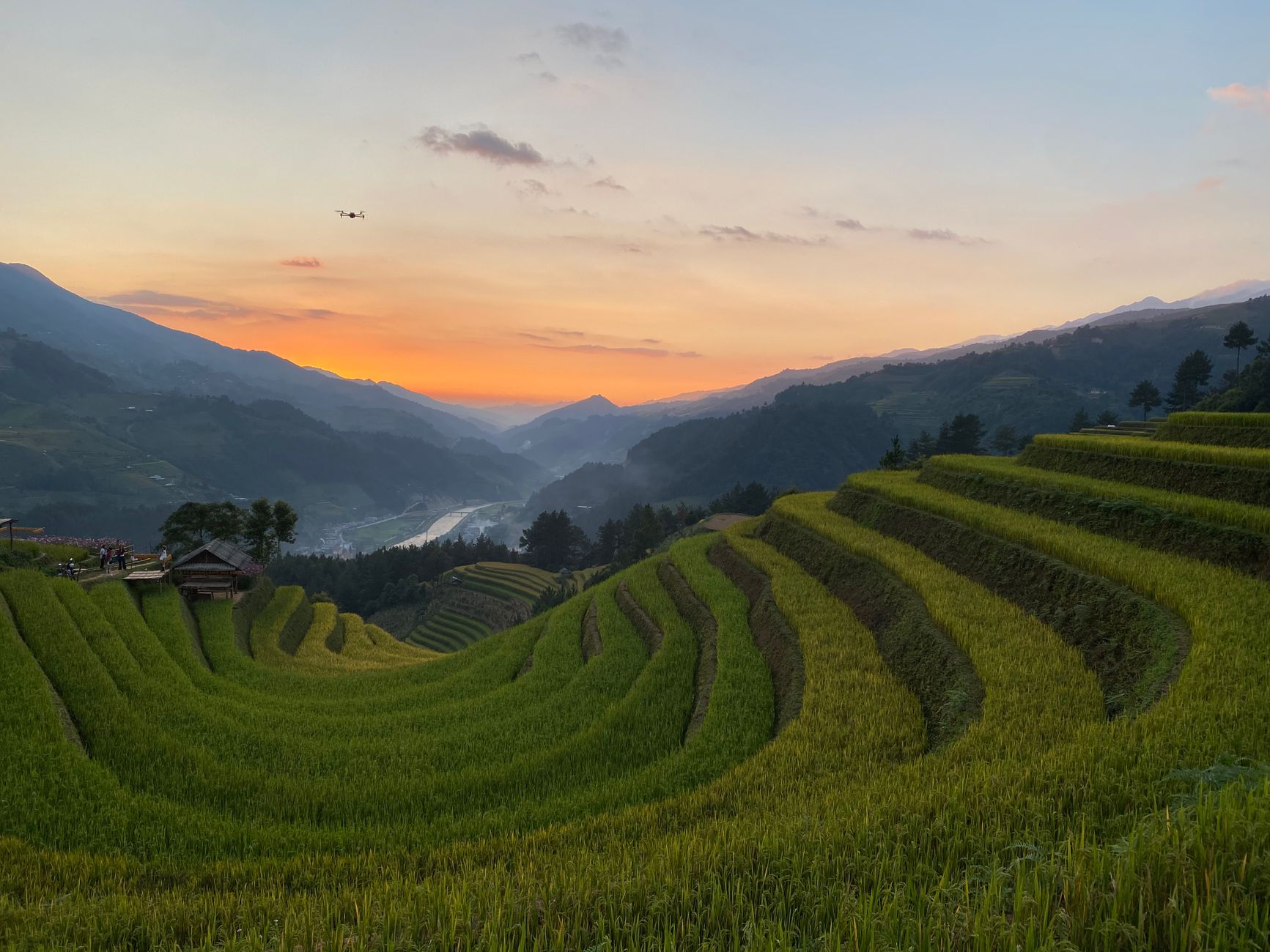 Modernisasi Pertanian: Drone Kini Dukung Panen Sawah Terasering di Yunnan