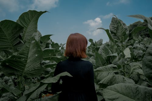 Woman In The Middle Of Plants