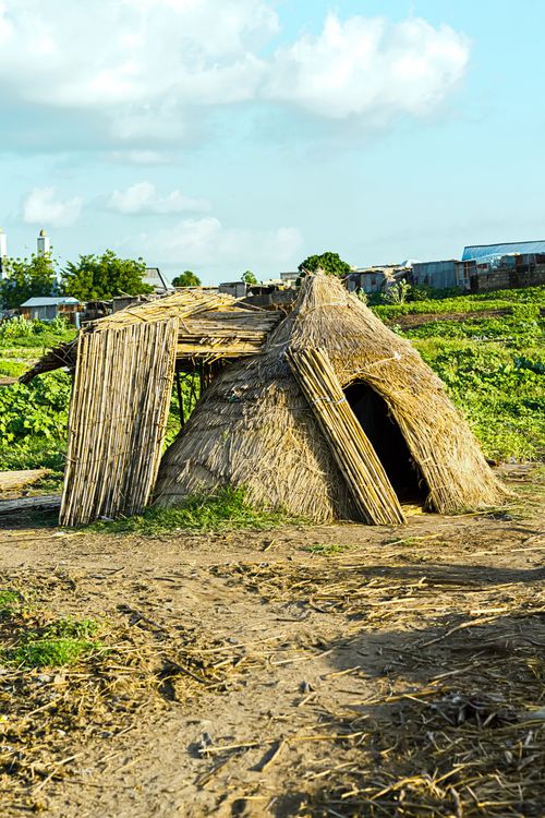 Free A straw hut in a rural area under a clear blue sky, surrounded by greenery. Stock Photo