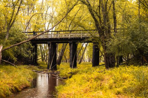 Free A scenic view of a rustic wooden bridge over a tranquil creek in Afton, Minnesota during autumn. Stock Photo