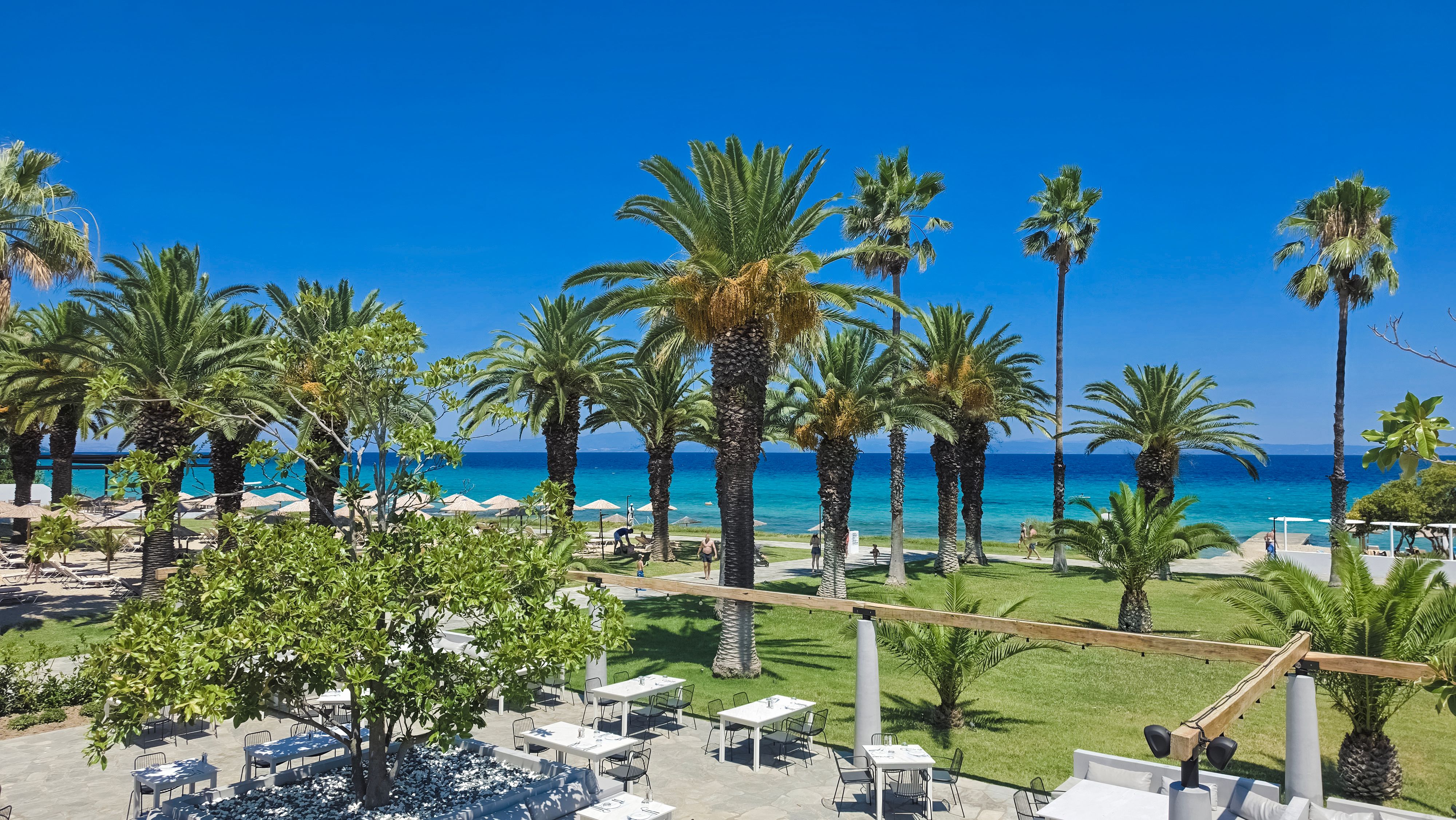 Sani, Kassandra · φωτογραφία περιοχής 2