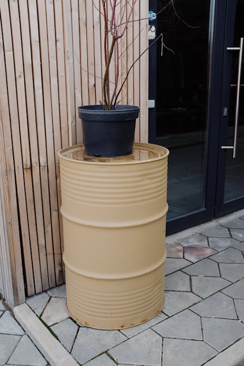 Black Potted Plant on Cream Metallic Container