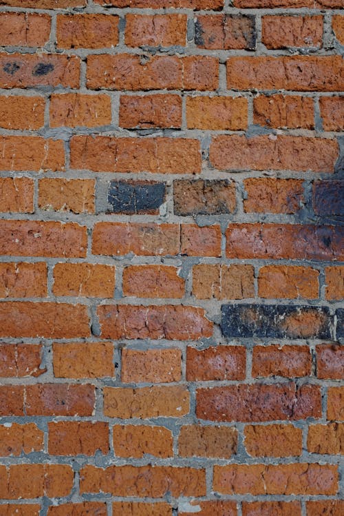 Free Gratis arkivbilde med betong, brune murstein, eksteriør Stock Photo