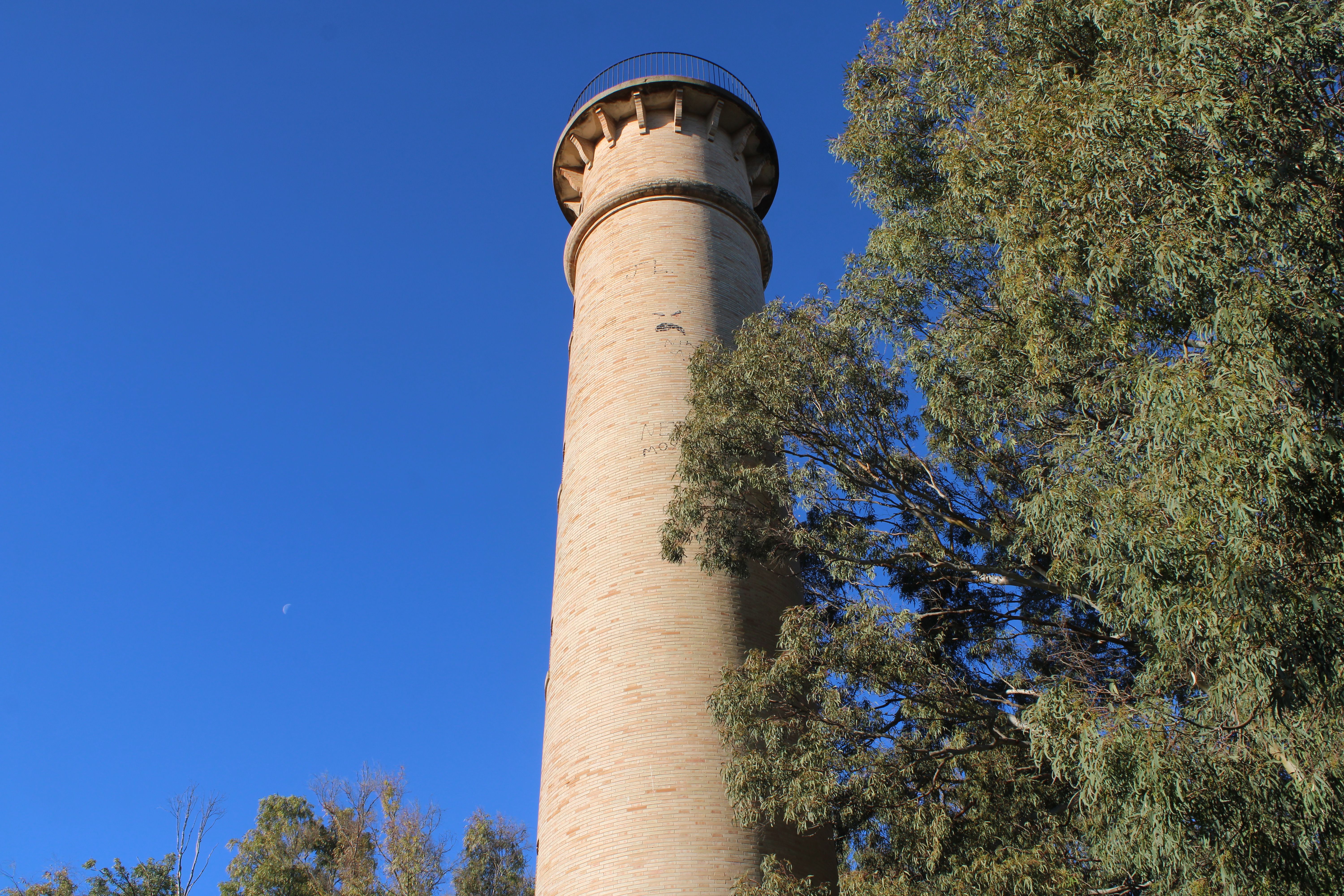Naracoorte