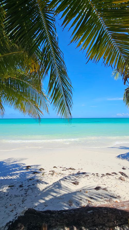 Free Pristine tropical beach scene with clear turquoise waters and palm trees casting shadows on white sand. Stock Photo