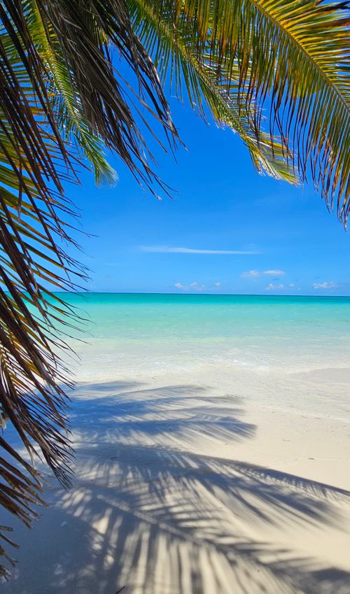 Free Beautiful tropical beach with crystal clear waters and palm shadows on a sunny day. Stock Photo