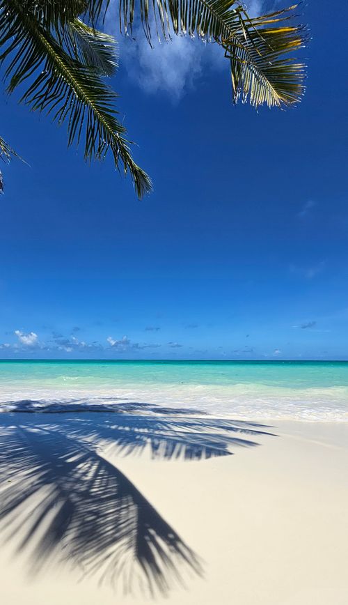 Free Serene tropical beach with clear blue water and palm tree shadows. Stock Photo