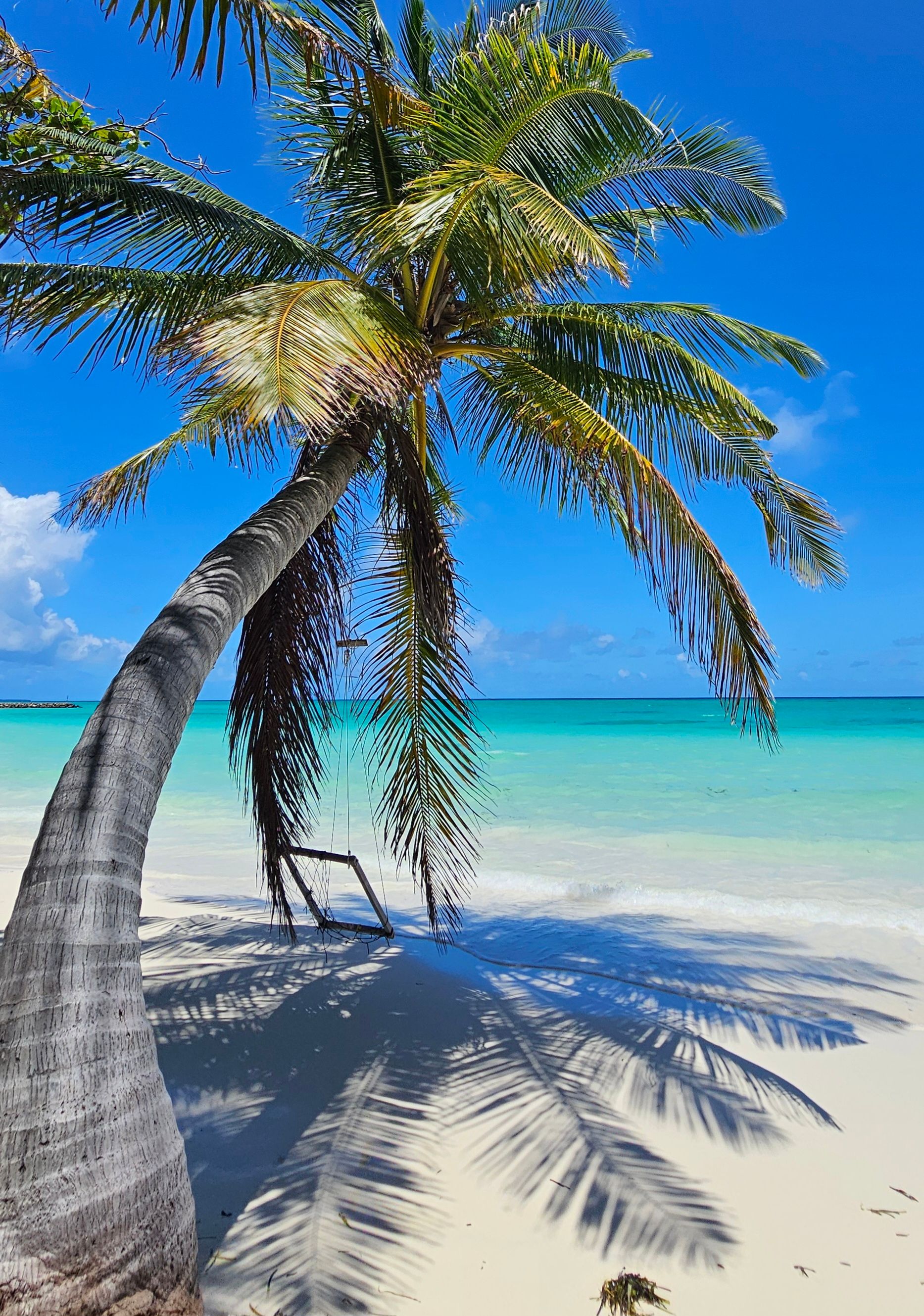 Cómo las Bahamas pueden fortalecer su economía con nuevas fuentes de ingreso