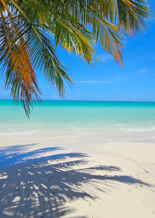 Free Serene tropical beach with turquoise water and palm tree shade under a clear blue sky. Stock Photo