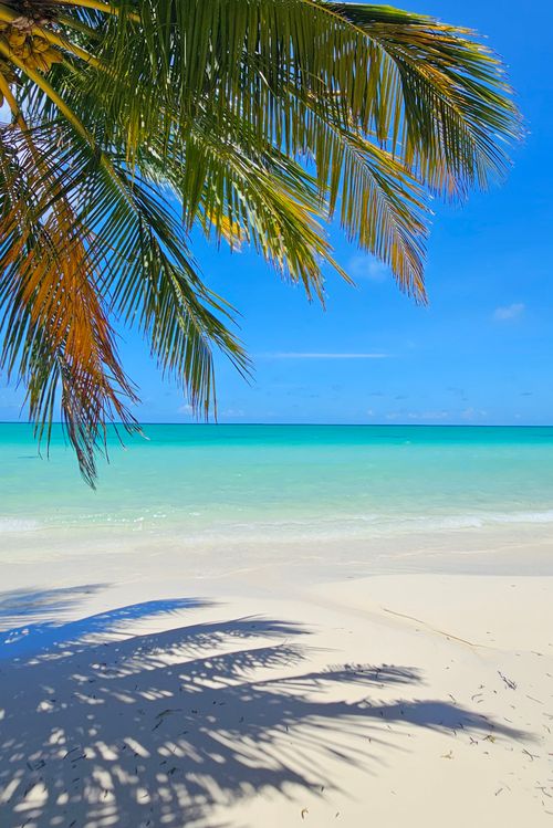 Free Serene beach scene with turquoise water and palm shadows under a clear blue sky. Stock Photo