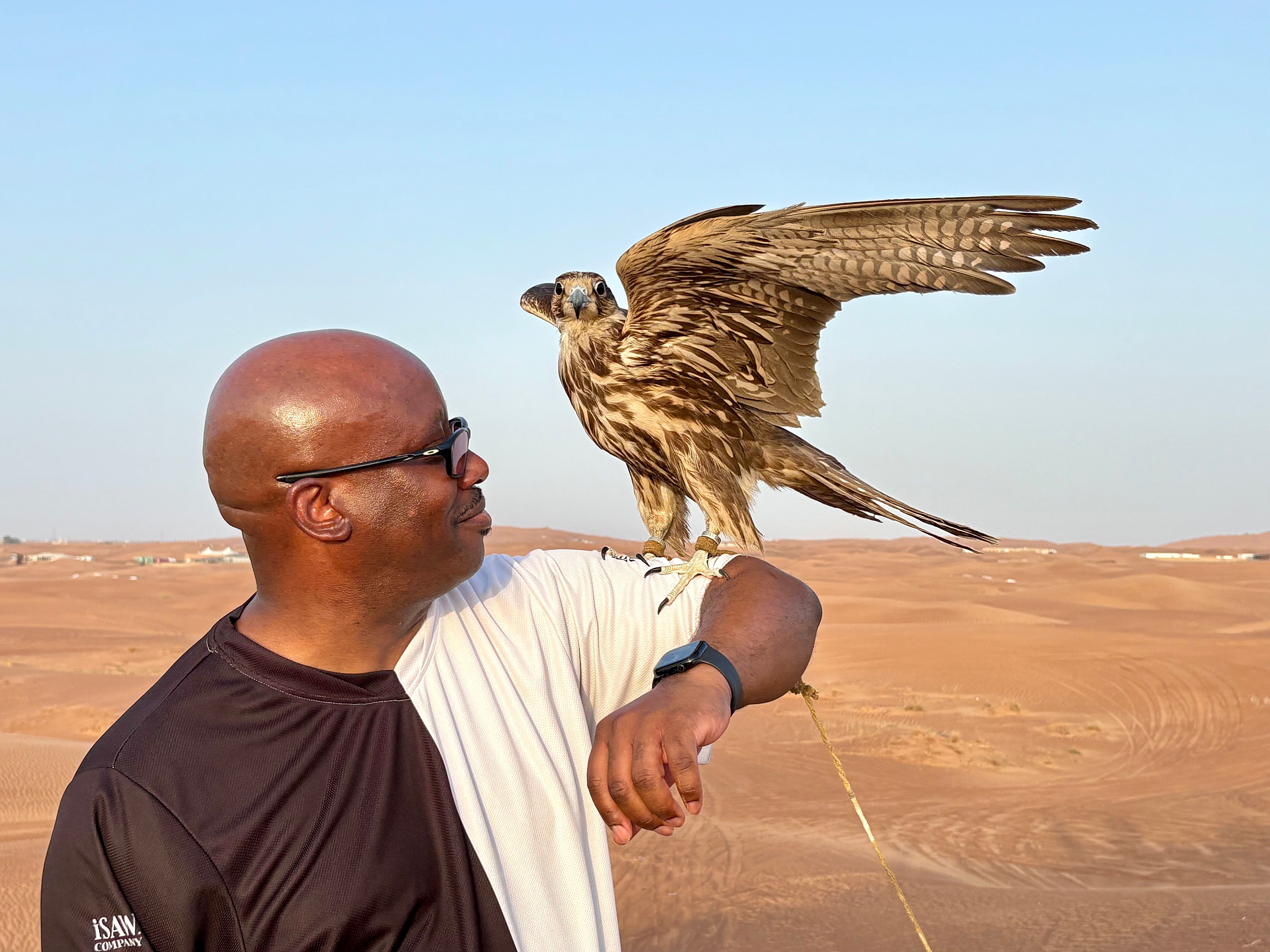 Falcon