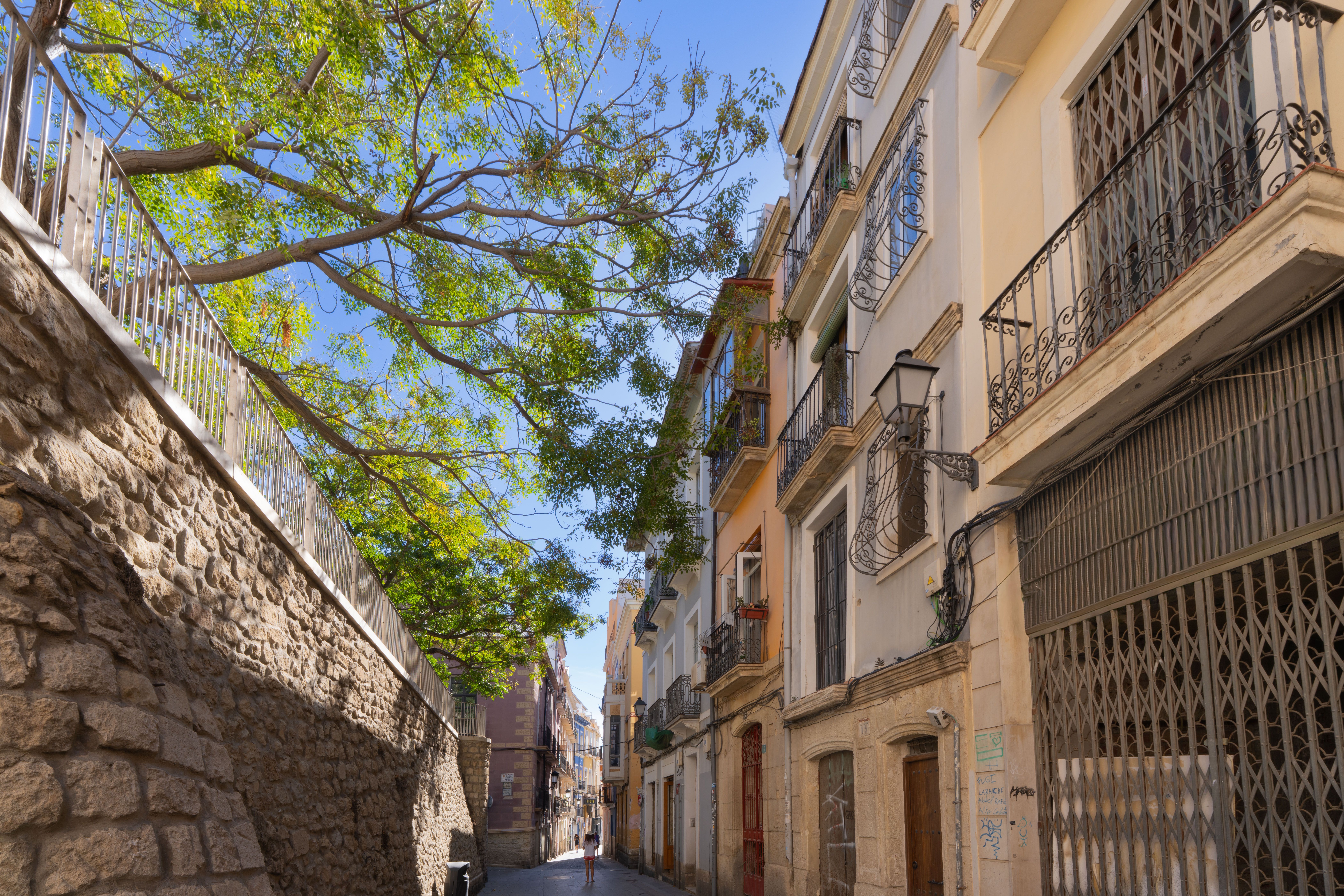 Sunny street in Alicante, Spain featuring traditional architecture and vibrant foliage.