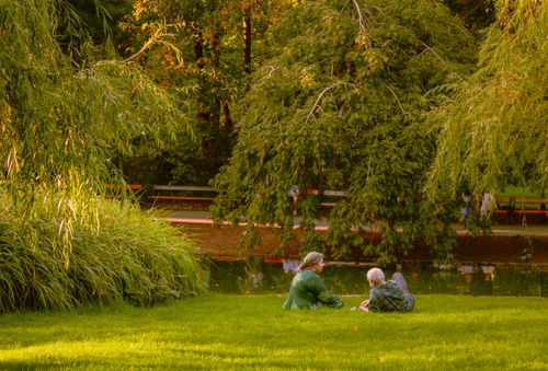 Free Two elderly people relaxing in a lush green park during the day with sunlight filtering through the trees. Stock Photo