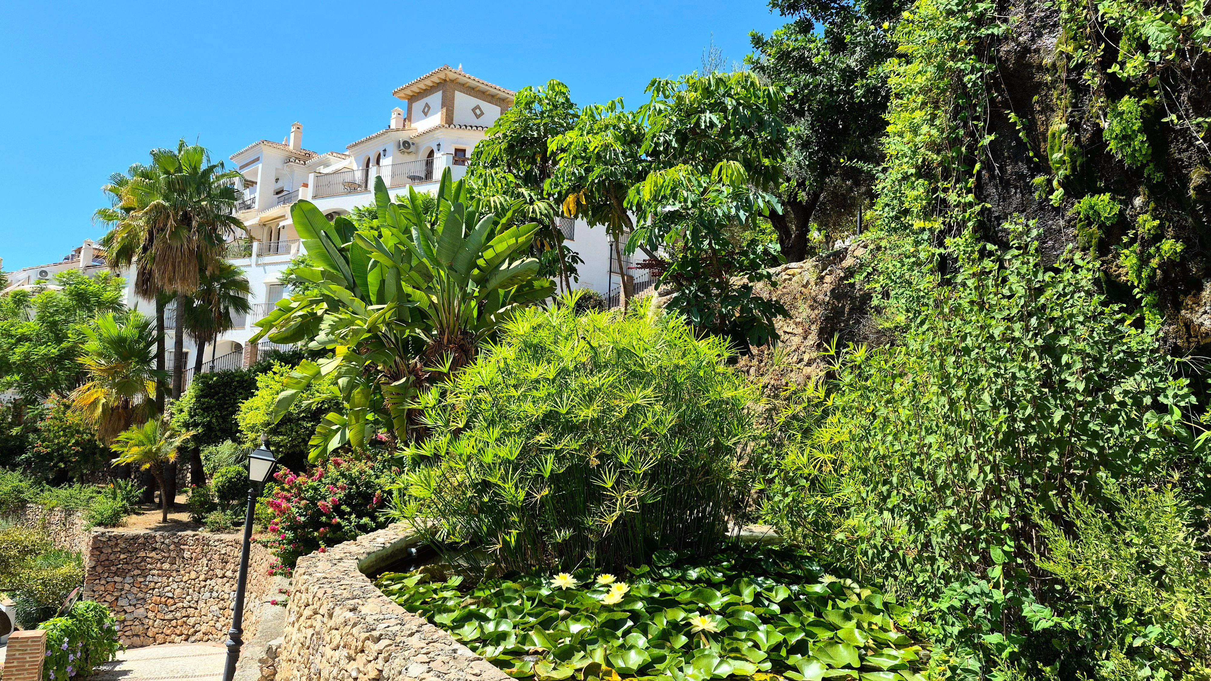 Frigiliana — Food, Frigiliana
