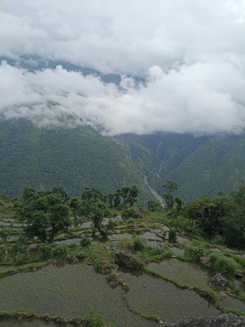 Free Lush terraced rice fields with misty mountains in Bagmati Province, Nepal. Stock Photo