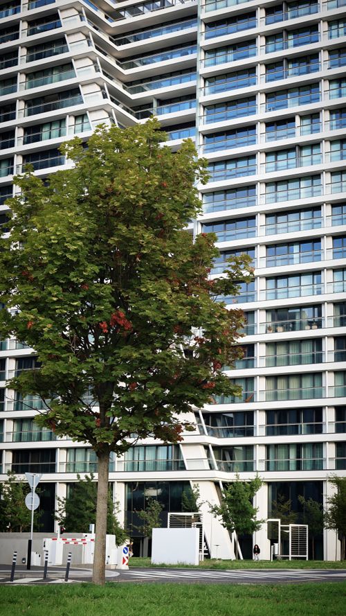Free A contemporary building facade with a lush green tree at the forefront. Stock Photo