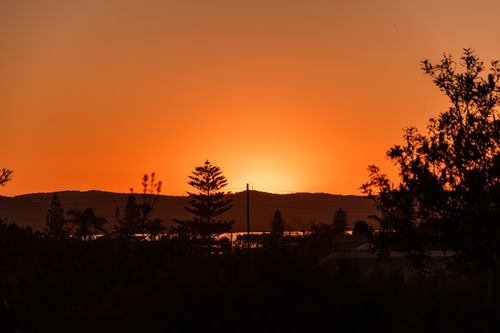 Free A beautiful sunset over a countryside landscape with silhouetted trees and hills. Stock Photo