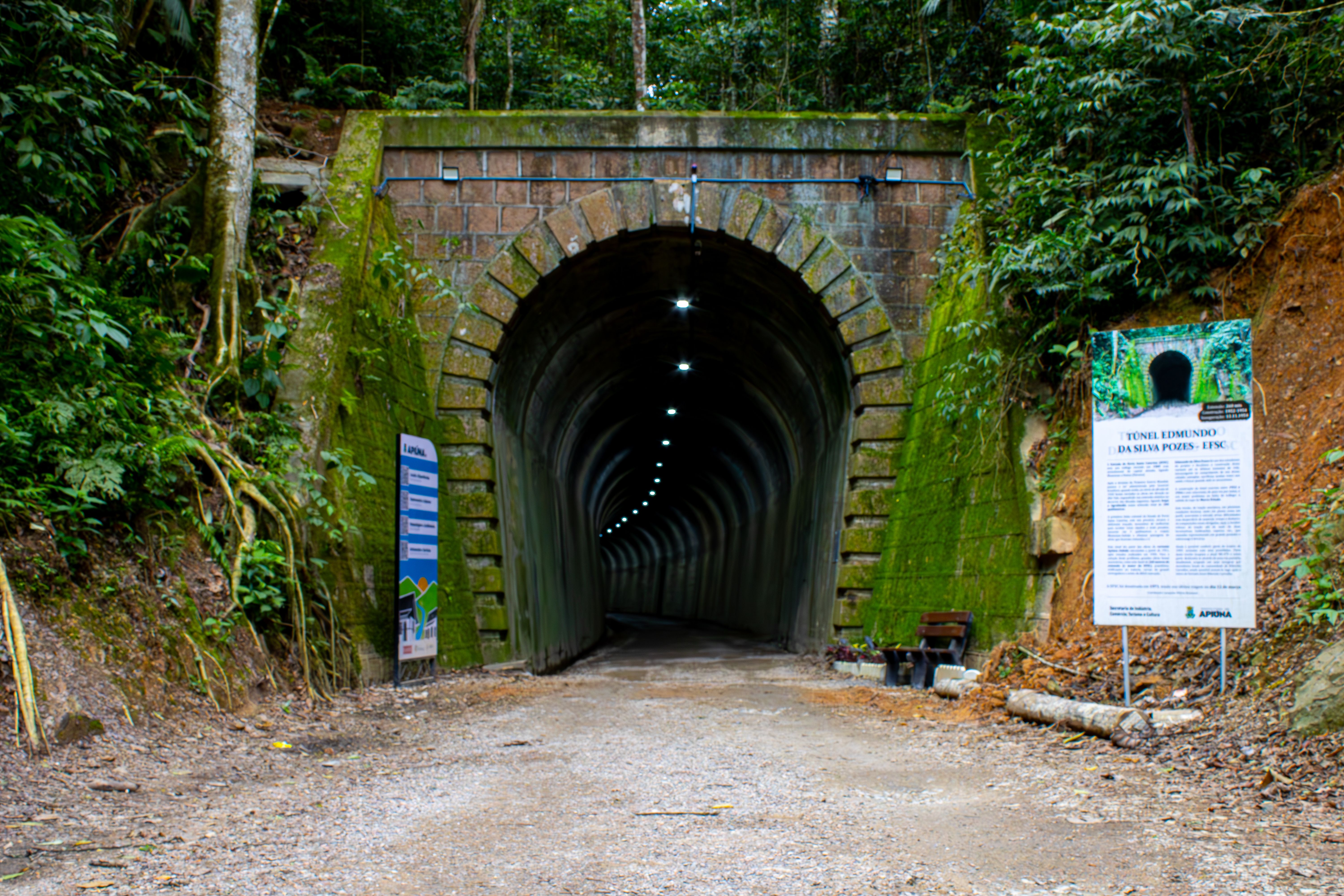 Dramatic view of the Edmundo da Silva Pozza tunnel surrounded by rich tropical foliage.