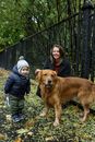 秋天，母亲和孩子在公园里与他们的金毛猎犬亲近