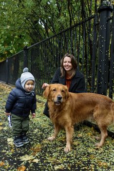 秋天，母亲和孩子在公园里与他们的金毛猎犬亲近
