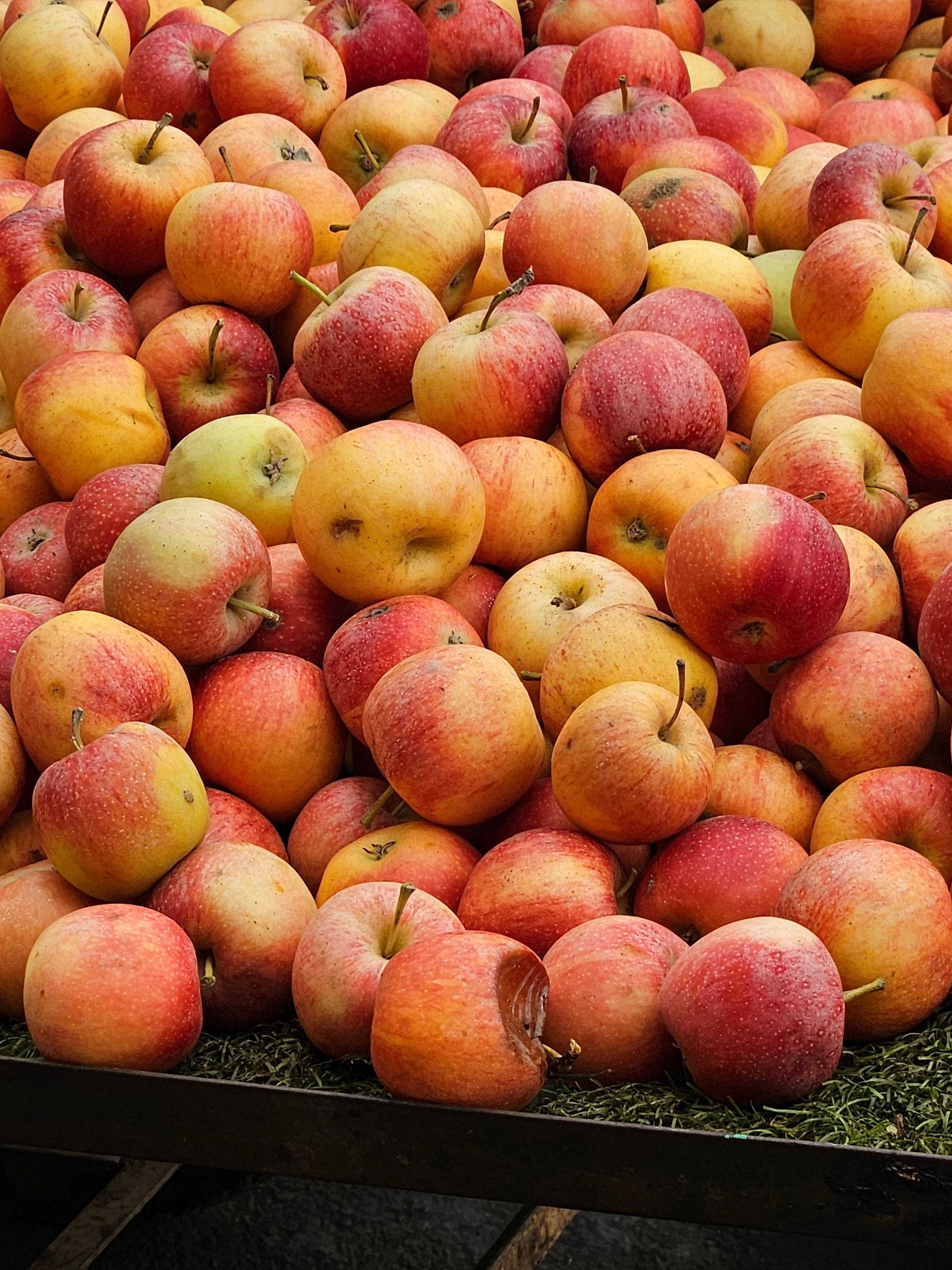 Maçã Nacional (kg)