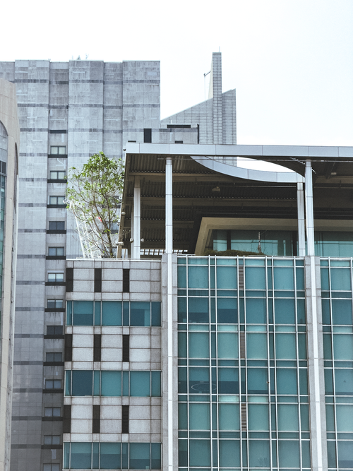 Free Contemporary cityscape featuring modern skyscrapers and urban vertical garden. Stock Photo