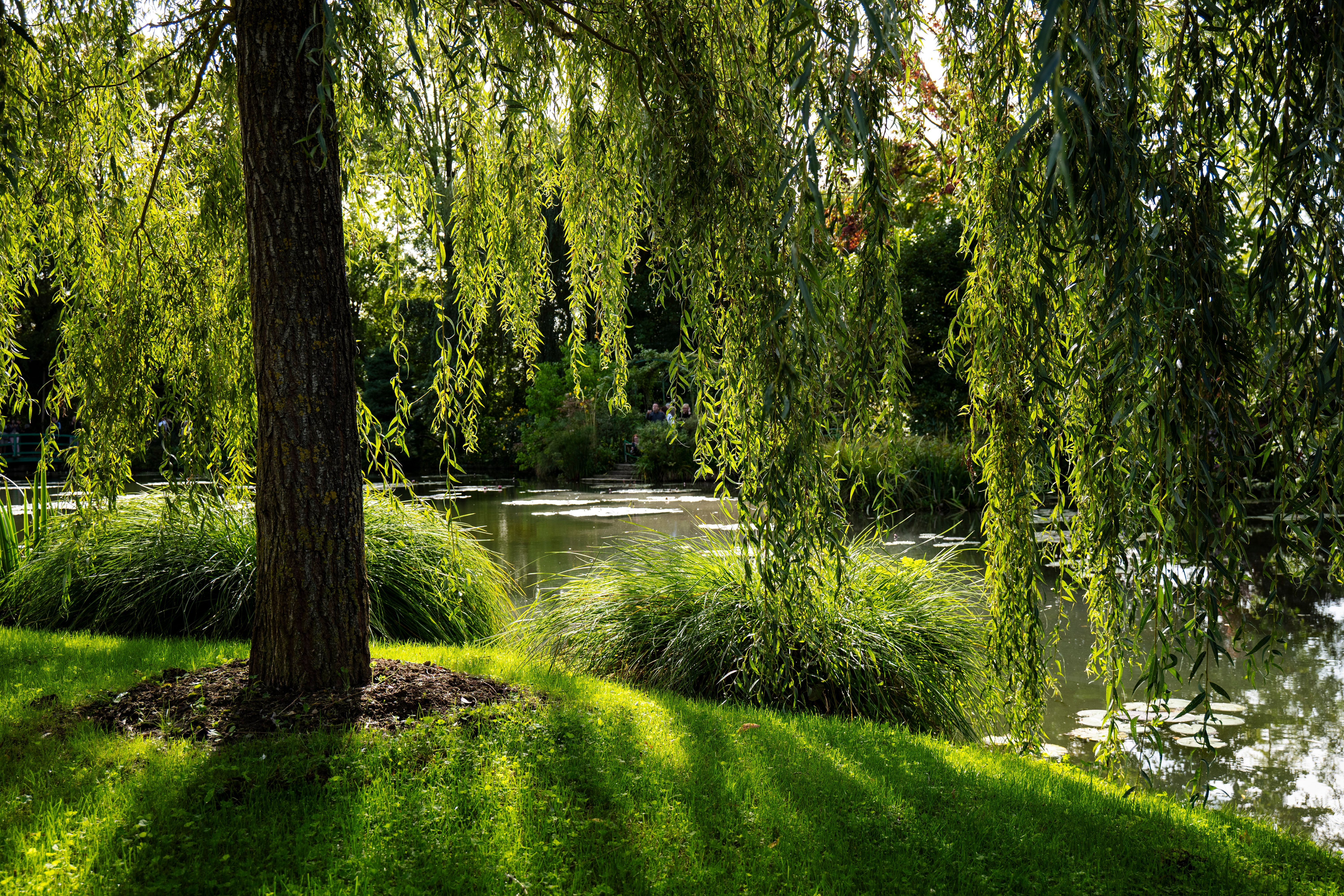 Landmarks in Giverny