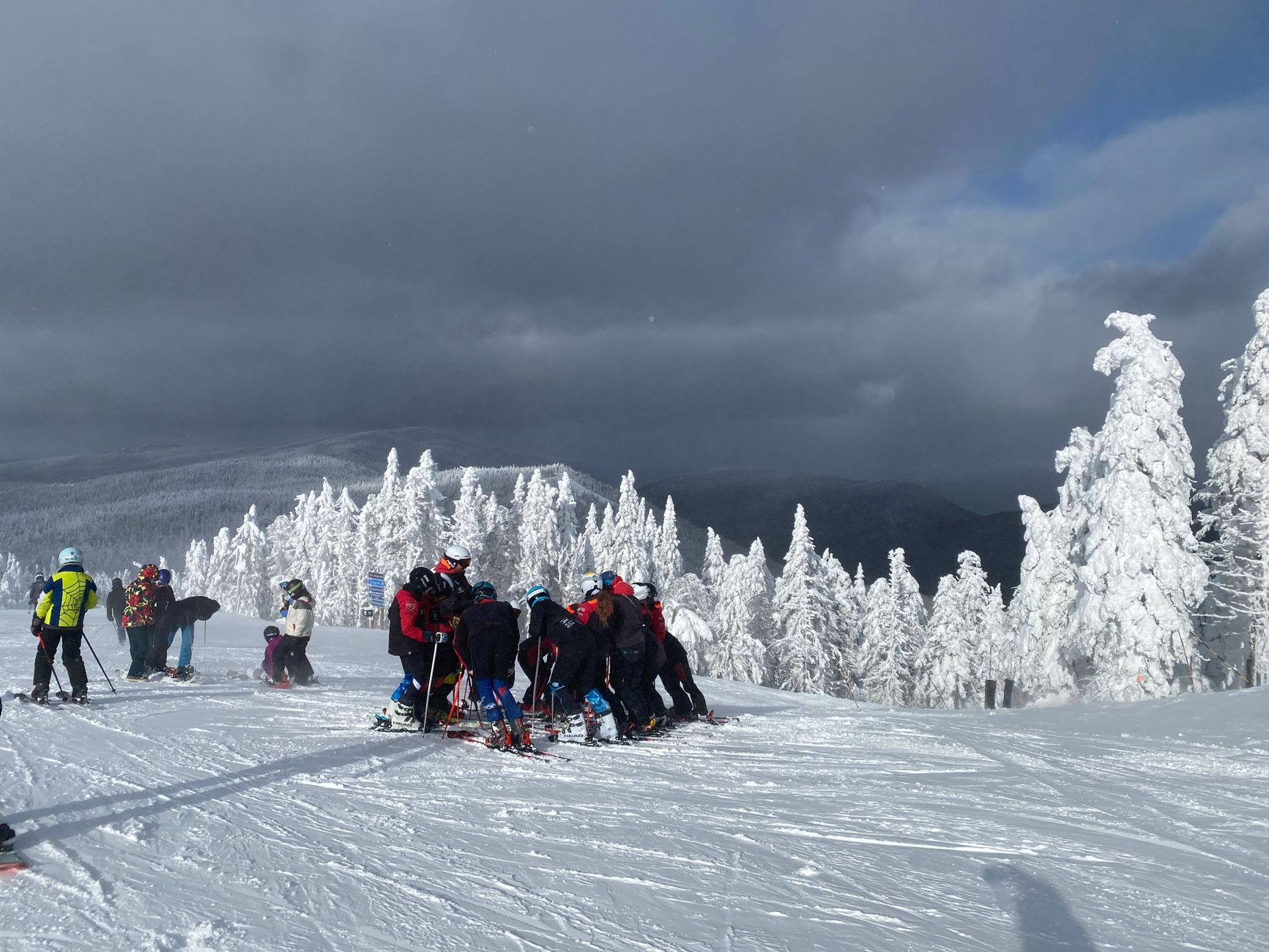 A group of skiers gathered on a snowy mountain slope with snow-covered trees under a cloudy sky.
