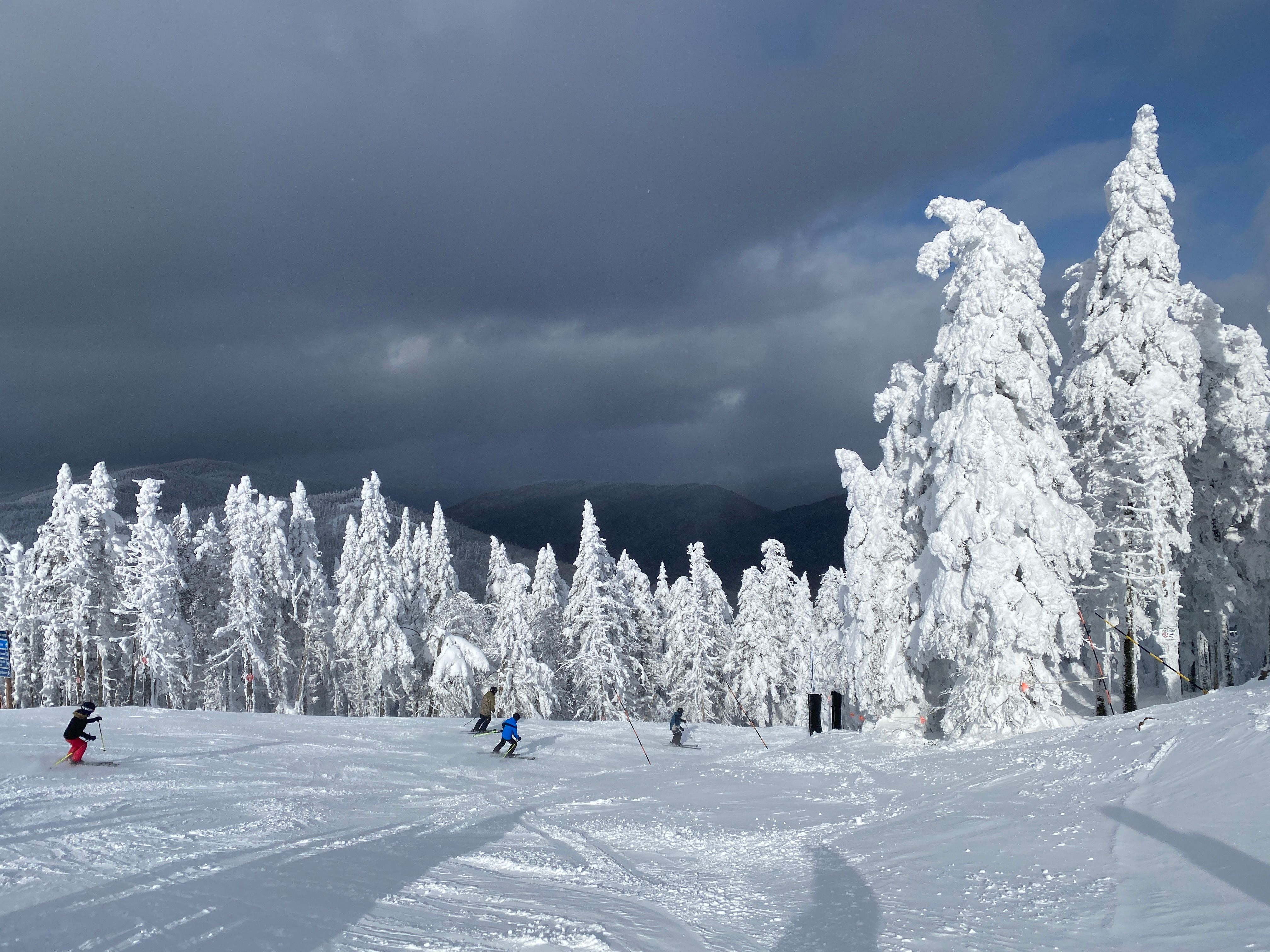 Skiers crossing a wide open piste in the Laurentian Mountains, the spruce along the edge plastered white