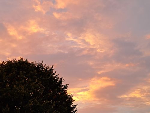 Free stock photo of beautiful, brown, cloud Stock Photo