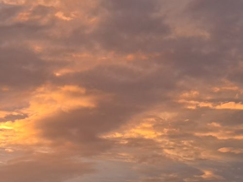Free stock photo of beautiful, brown, cloud Stock Photo