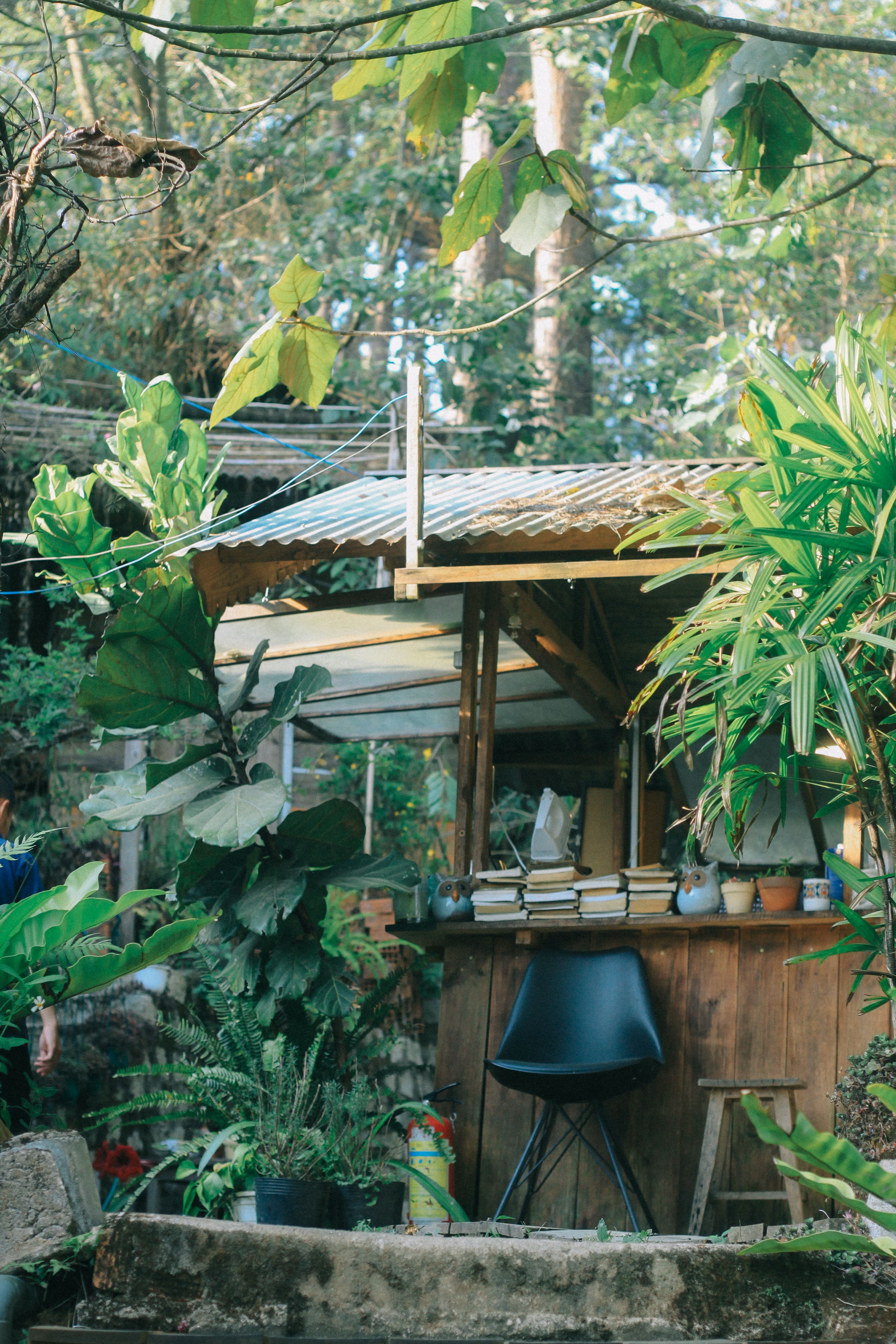 A cozy outdoor wooden workspace surrounded by lush greenery and plants.