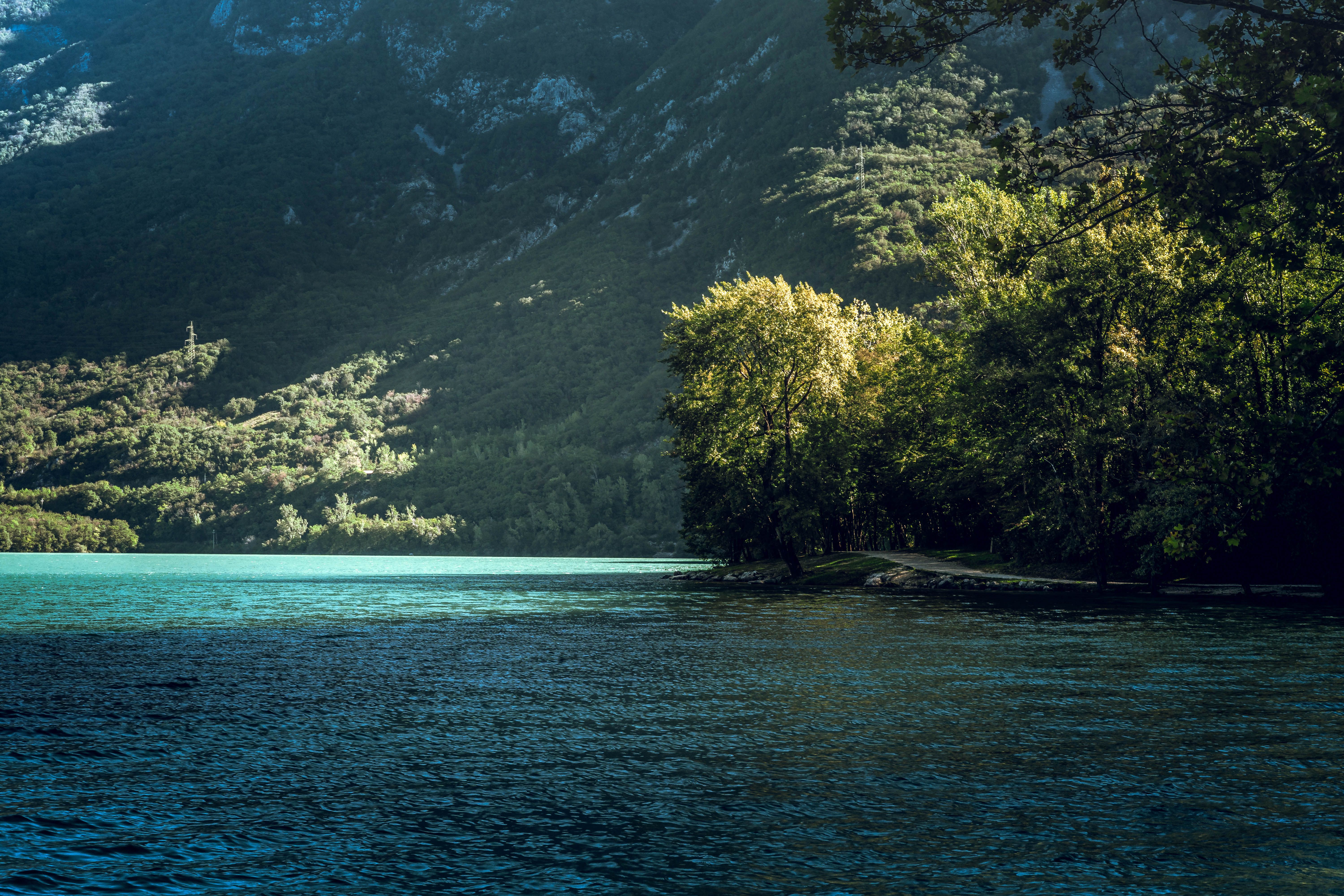 Tranquil Mountain Lake in Lush Forest Landscape · Free Stock Photo