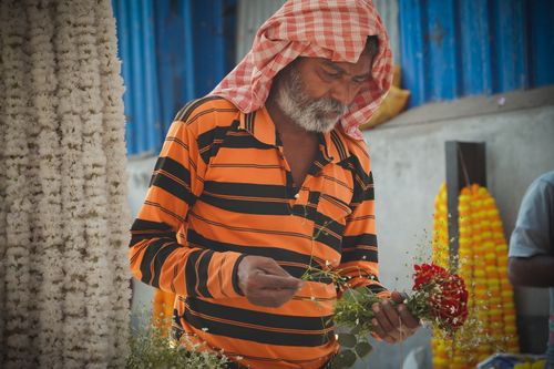 Free An elderly man crafting floral garlands with intricate detail in a vibrant Indian market setting. Stock Photo