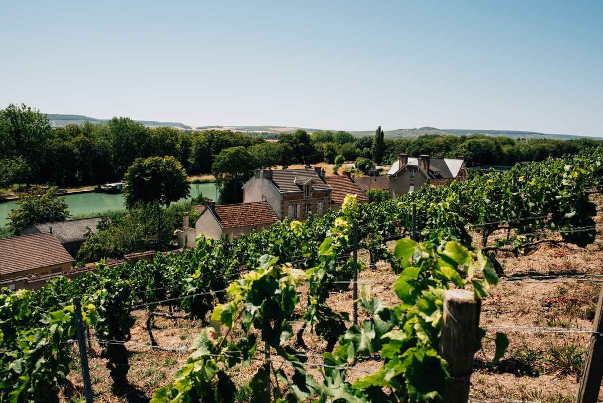 Vineyards above Épernay in the Champagne region of France