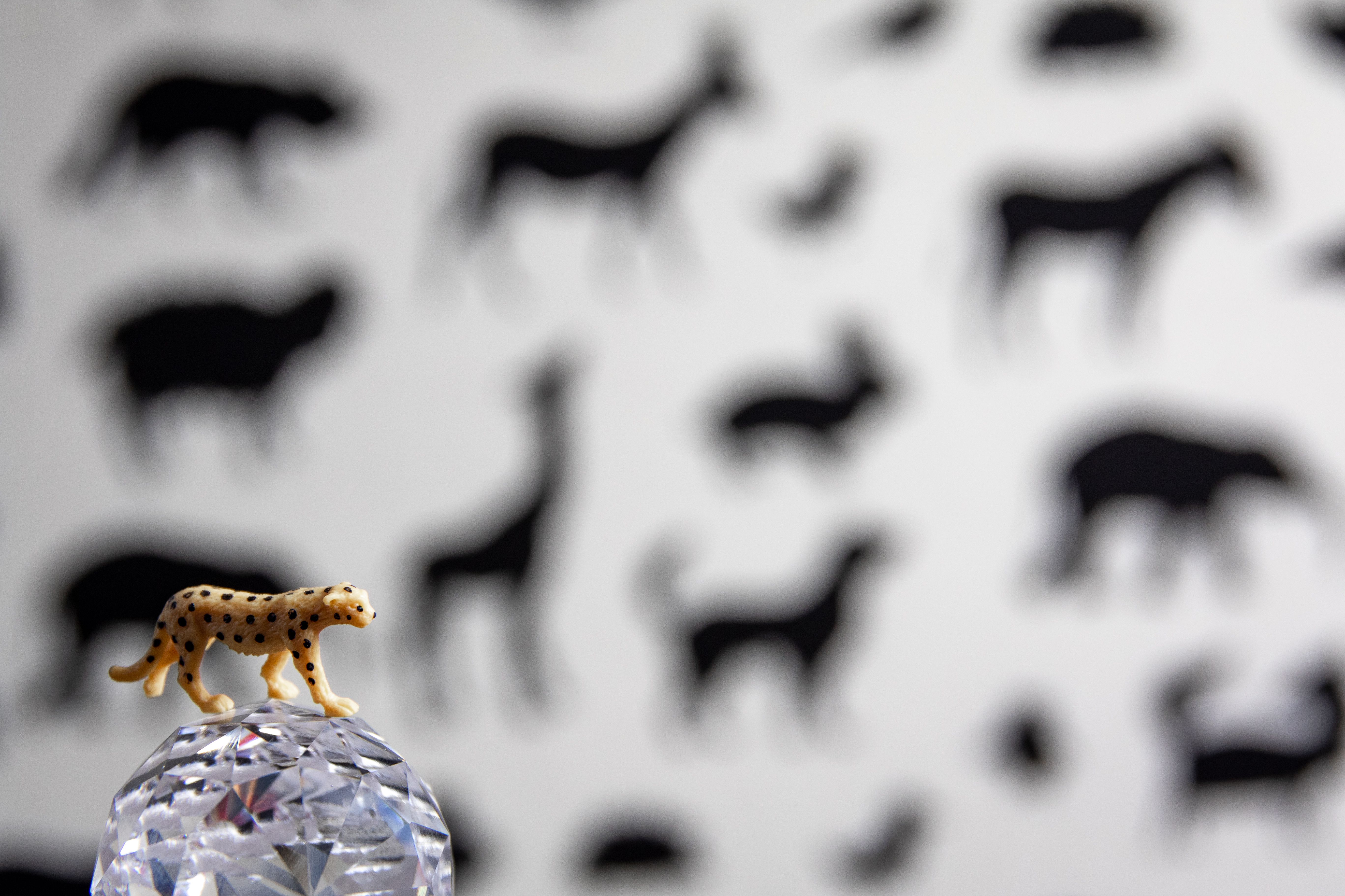 Toy cheetah figurine on crystal ball with blurred animal silhouettes in the background.