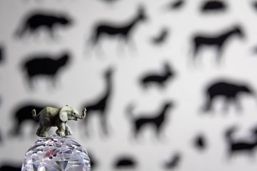 Toy elephant figure on a crystal ball with blurred animal silhouettes in the background, creating a conceptual wildlife scene.