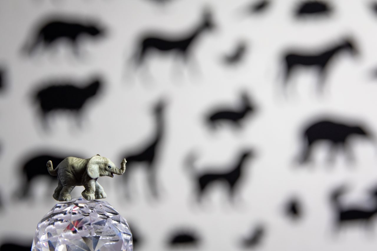 toy elephant figure on a crystal ball with blurred animal silhouettes