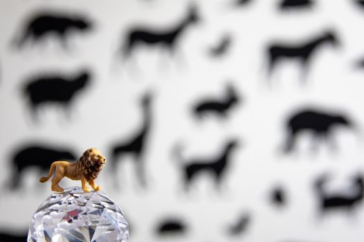 A small lion toy on a crystal ball with animal silhouettes in the background.